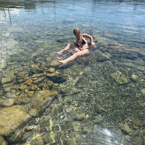 Rotnelchen photo 3
