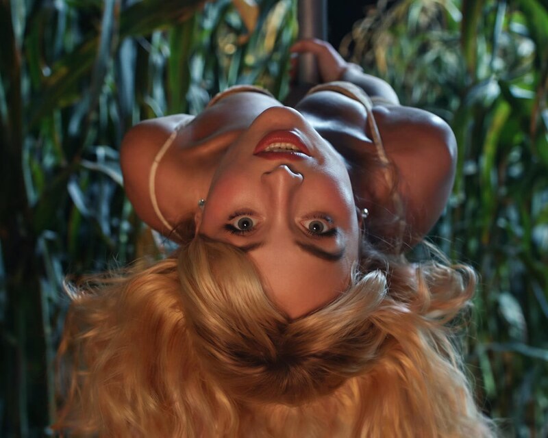 Sabrina Carpenter nude photo 3