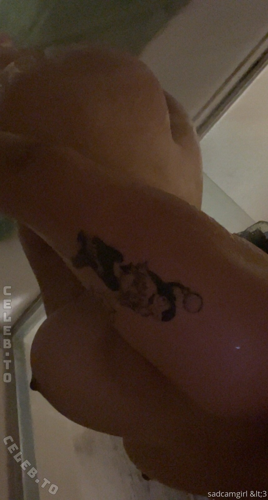 Sadcamgirll nude photo 4