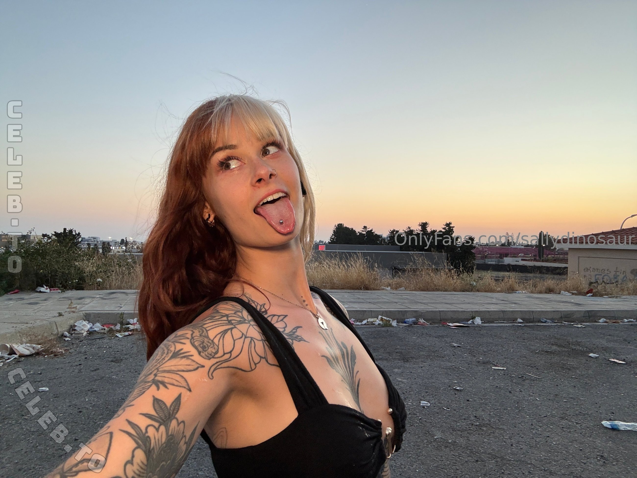 SallyDinosaur nude photo 1