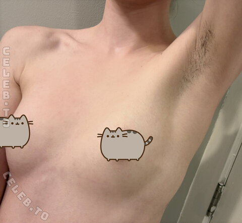 Sammynoodlesoup – bush update