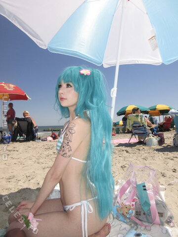 Sammynoodlesoup – beach miku set