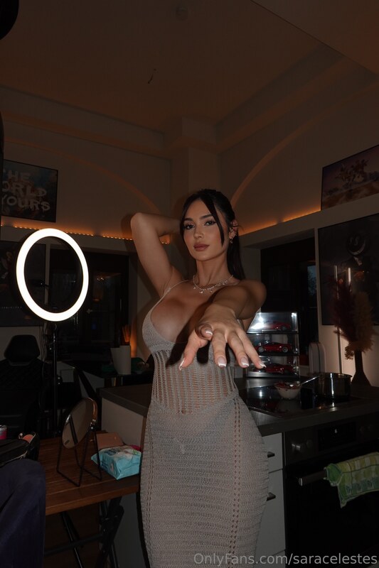 Sara Celestes nude photo 8