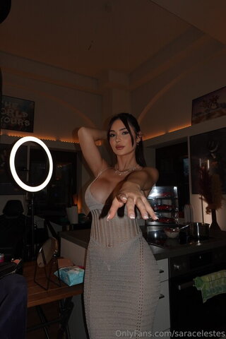 Sara Celestes nude photo 15