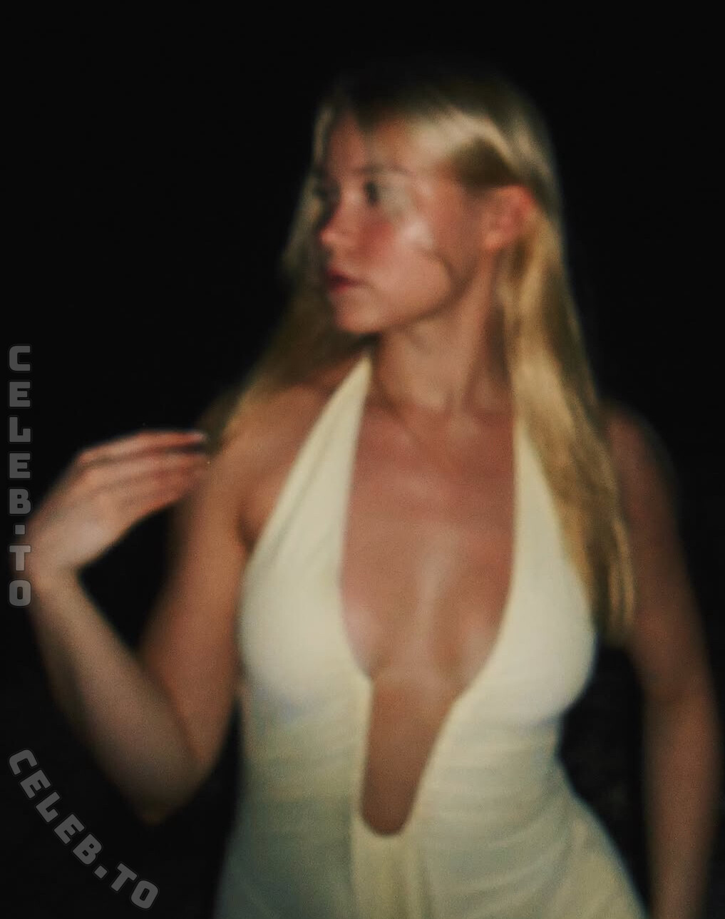 Sara Manner nude photo 4