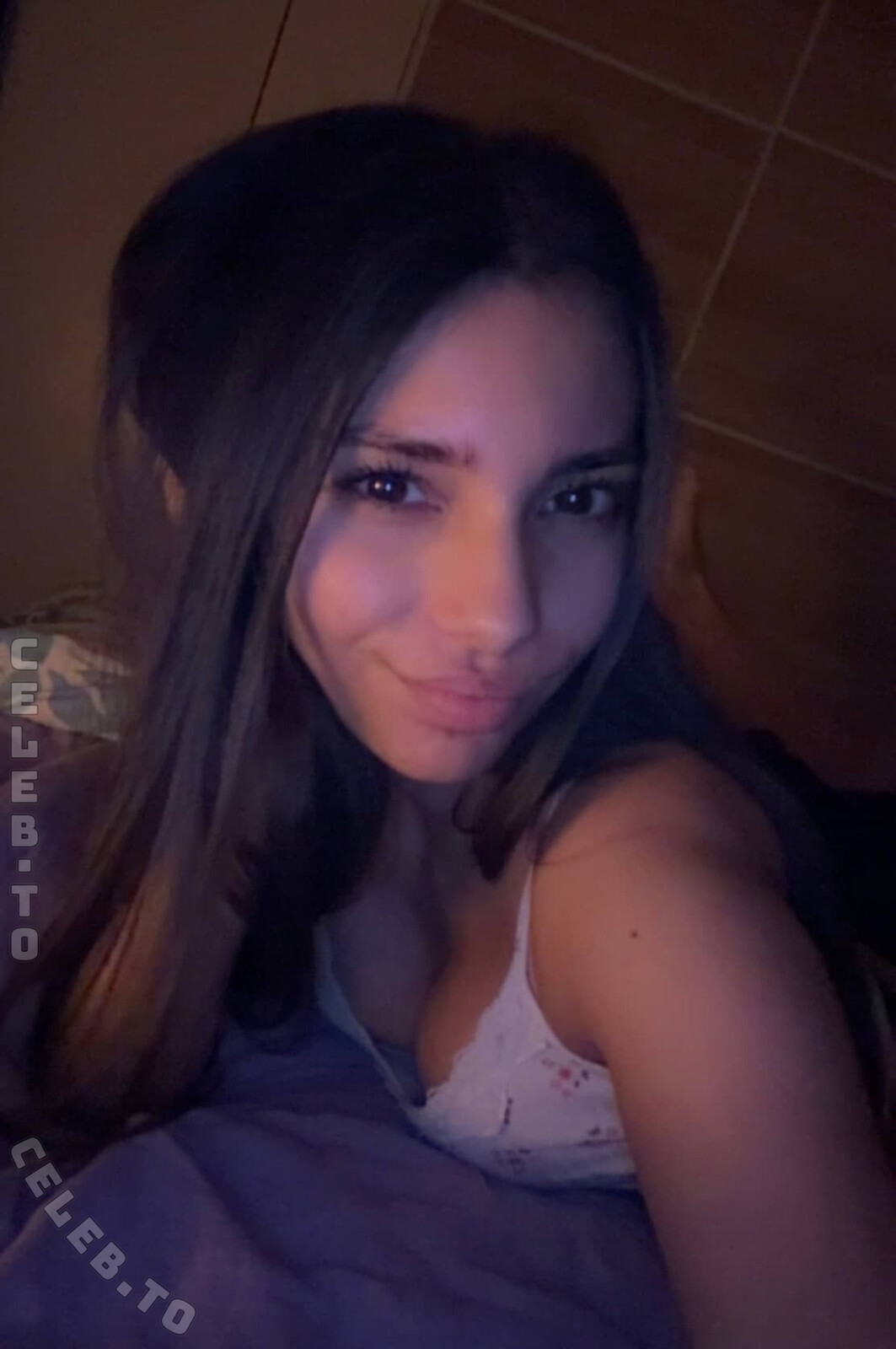 Sara Wolf nude photo 12