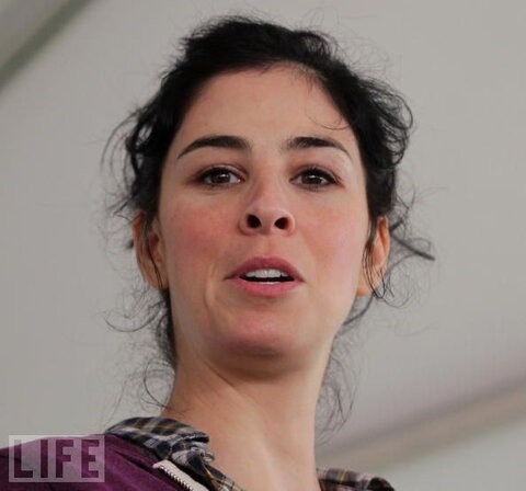 Sarah Silverman Hot (14 photos)