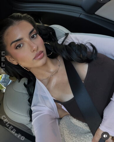 Sararslan photo 1