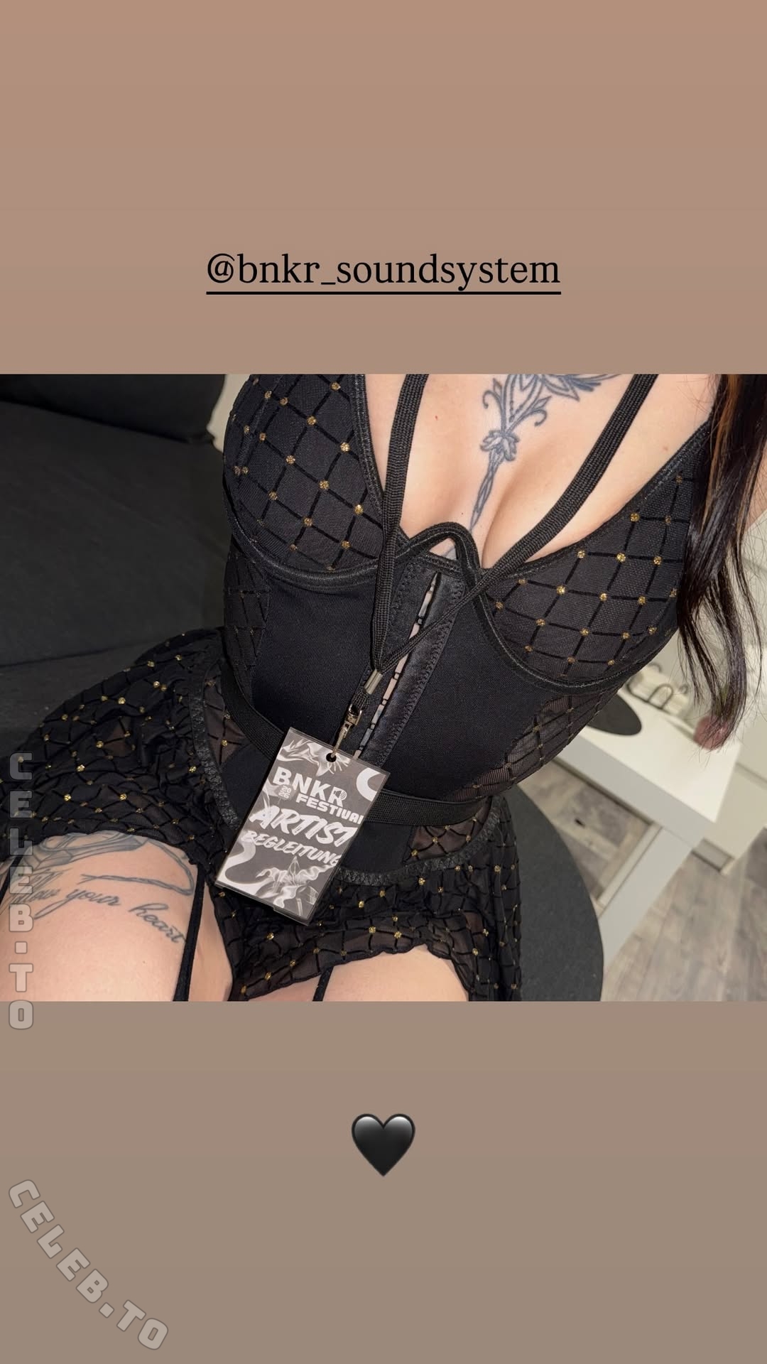 schweinenuttenfotzenscheisse nude photo 1