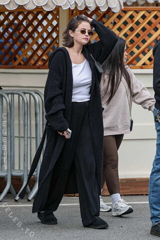 Selena Gomez nude photo 18