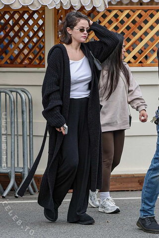 Selena Gomez nude photo 17