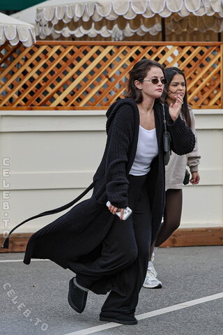 Selena Gomez nude photo 15