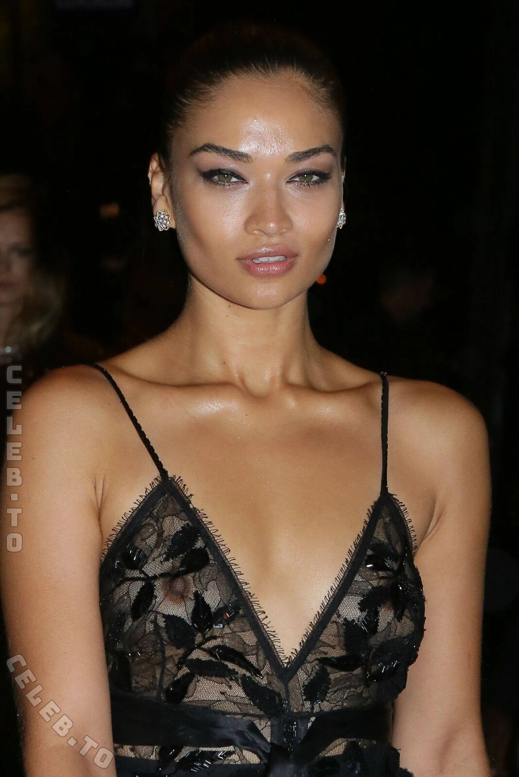 Shanina Shaik nude photo 13