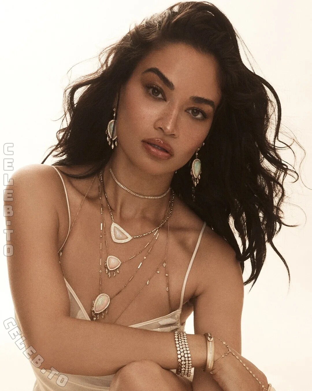 Shanina Shaik nude photo 4