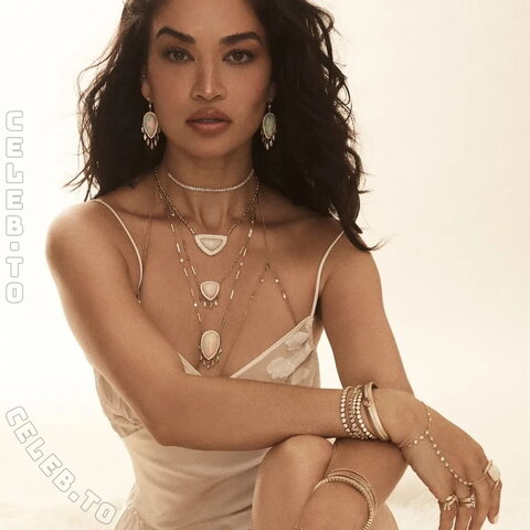 Shanina Shaik nude photo 6