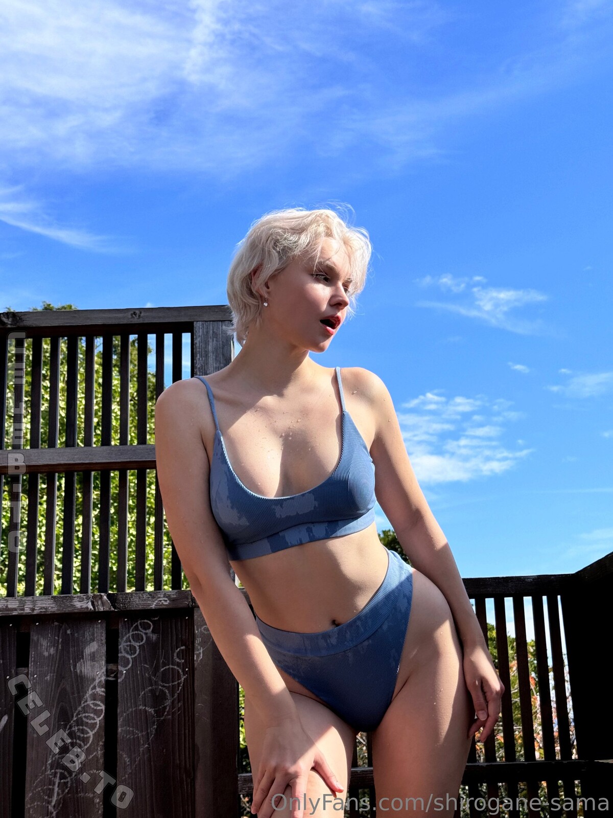 Shirogane-Sama nude photo 11