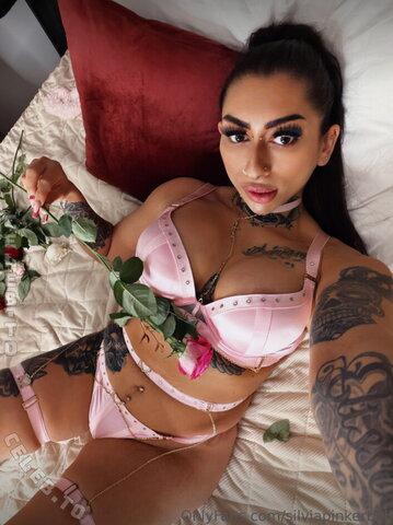 Silvia Pinkerbell nude photo 4