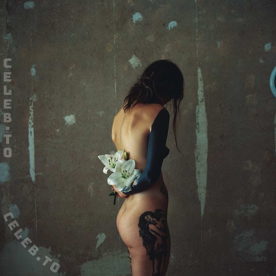 sovias.diary nude photo 3