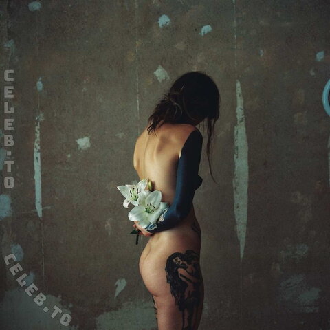 sovias.diary nude photo 8