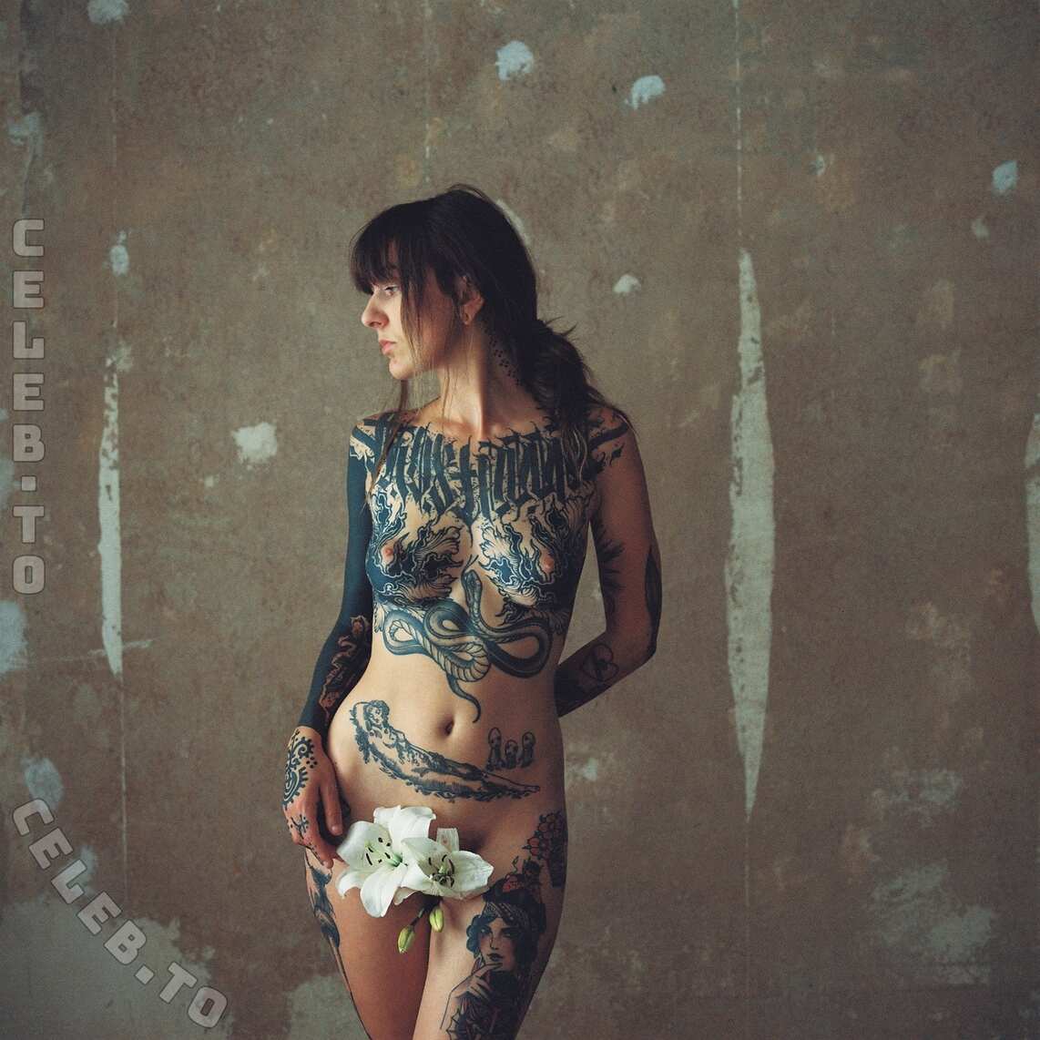 sovias.diary nude photo 4