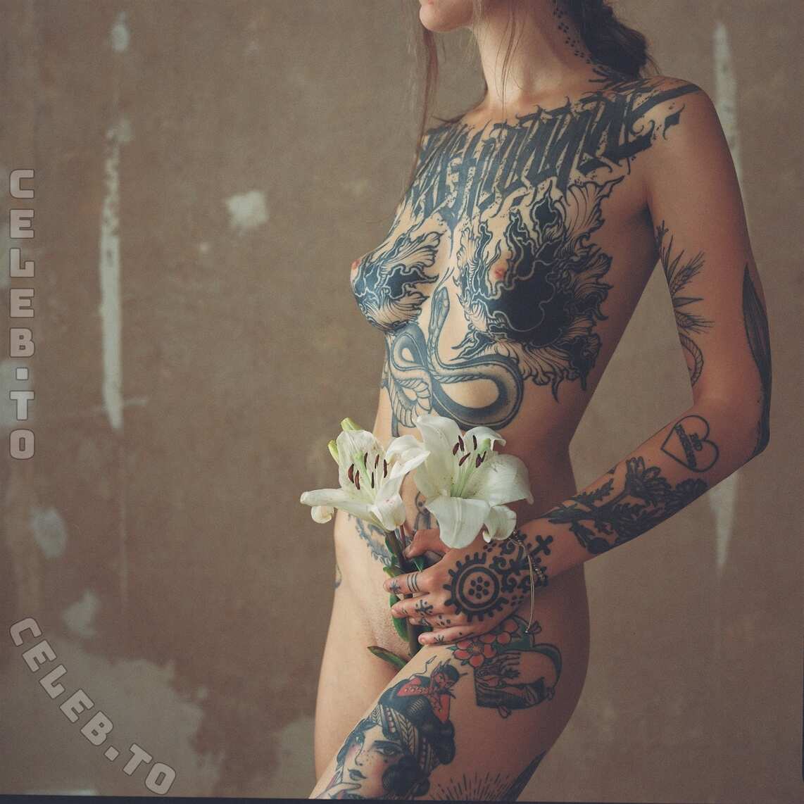 sovias.diary nude photo 6