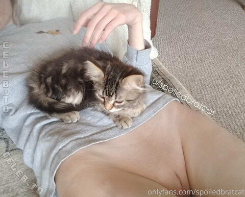 spoiledbratcat nude photo 39