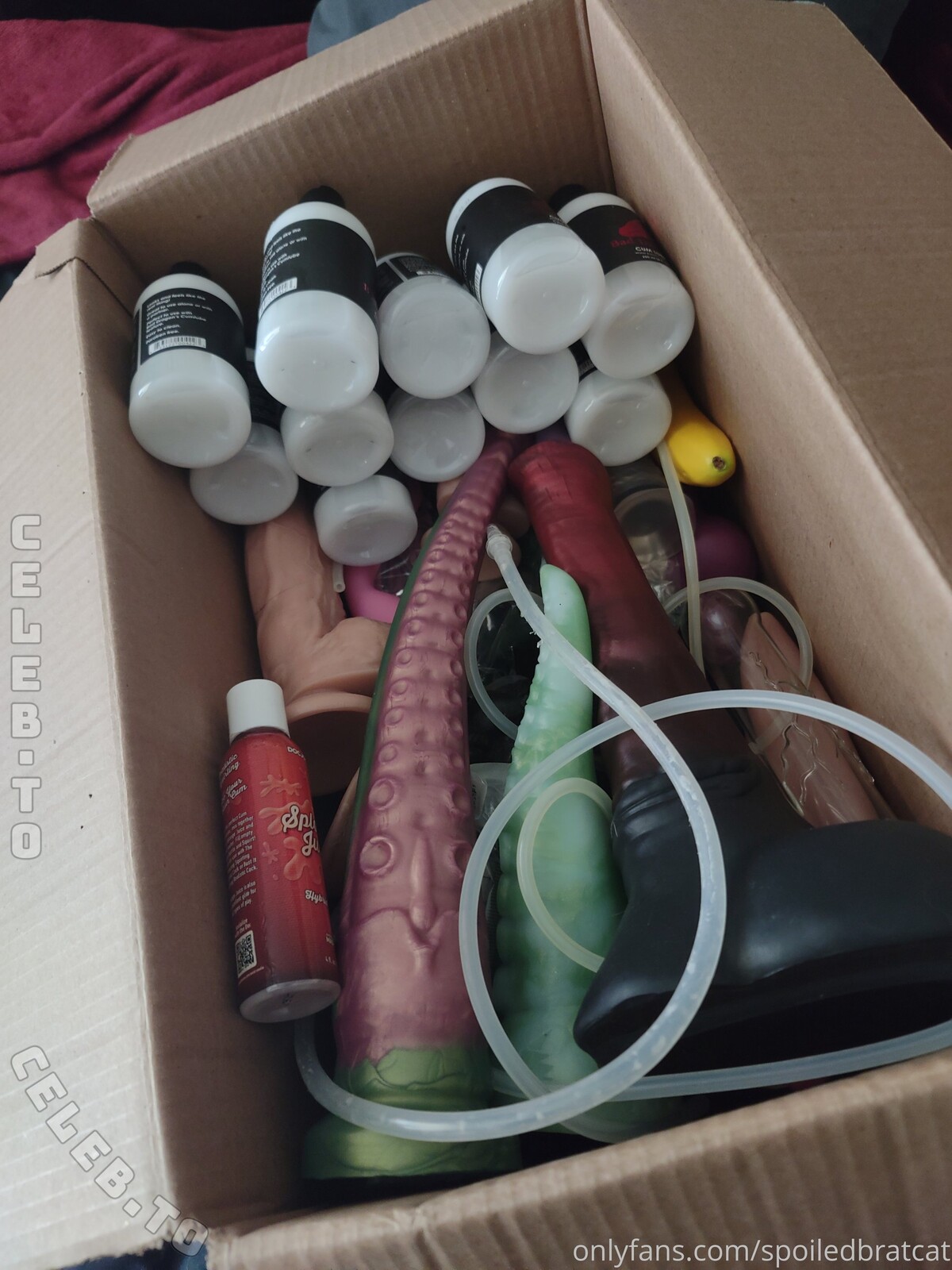 spoiledbratcat nude photo 15