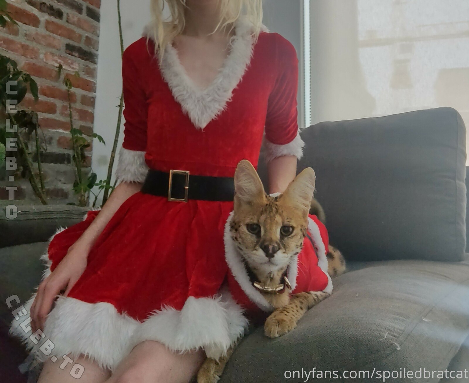 spoiledbratcat nude photo 15