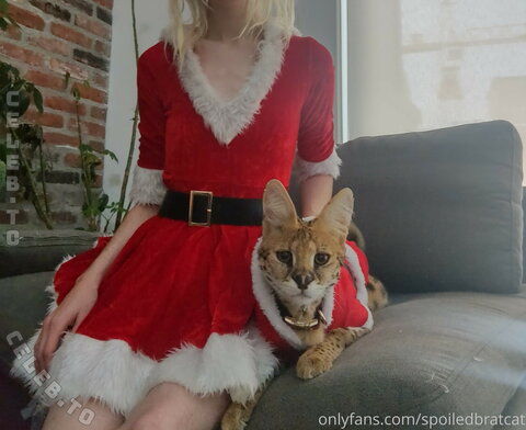 spoiledbratcat nude photo 107