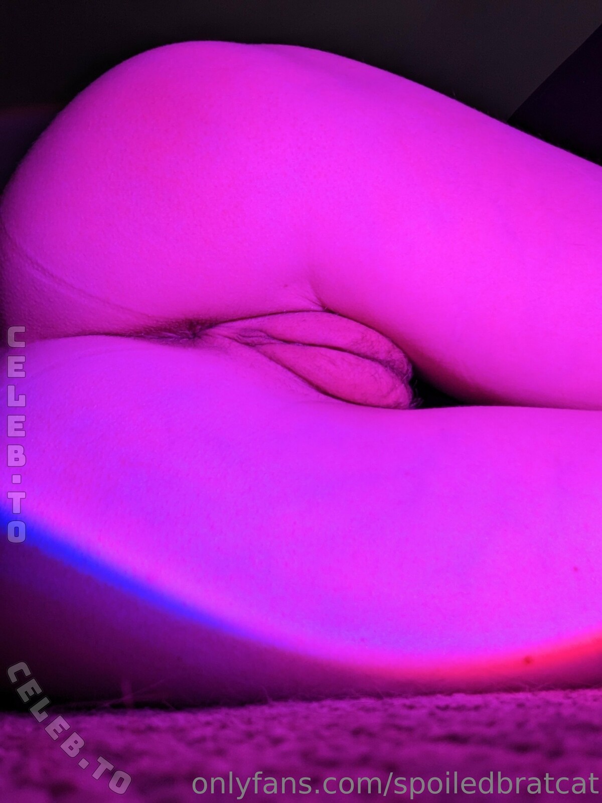 spoiledbratcat nude photo 7