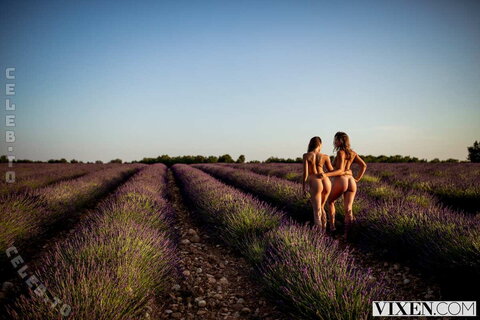 Stacy Cruz nude photo 60