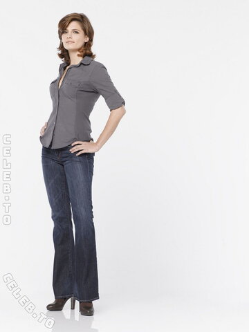Stana Katic nude photo 4
