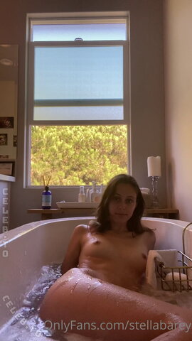 Stella Barey nude photo 157