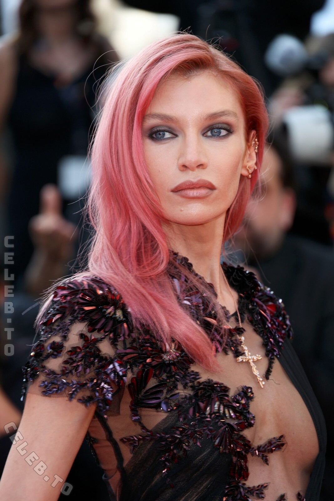 Stella Maxwell nude photo 15