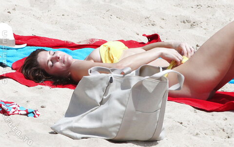 Stephanie Seymour nude