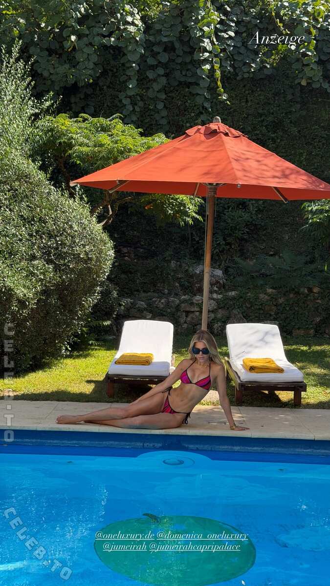 Sylvie Meis nude photo 1