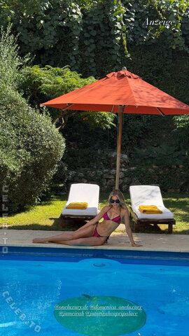 Sylvie Meis Sexy (4 photos)