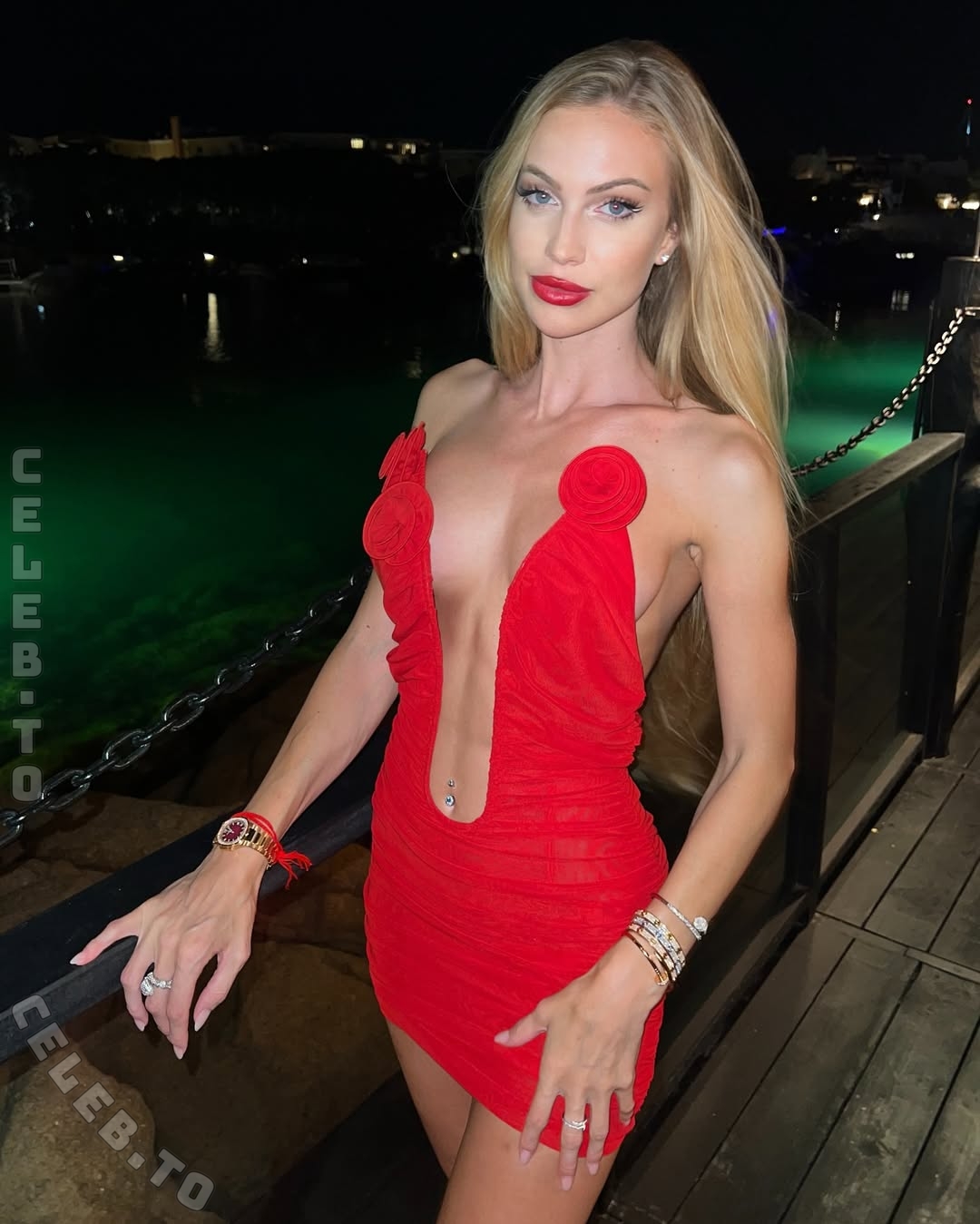 Taylor Mega nude photo 1