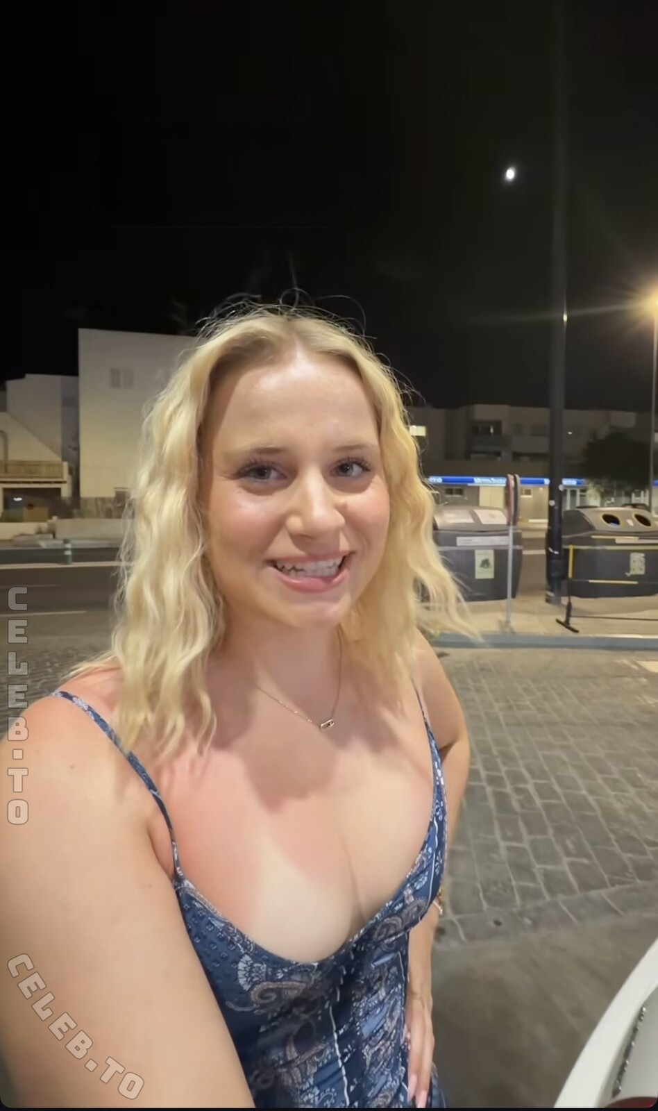 Teresa Bauer nude photo 2