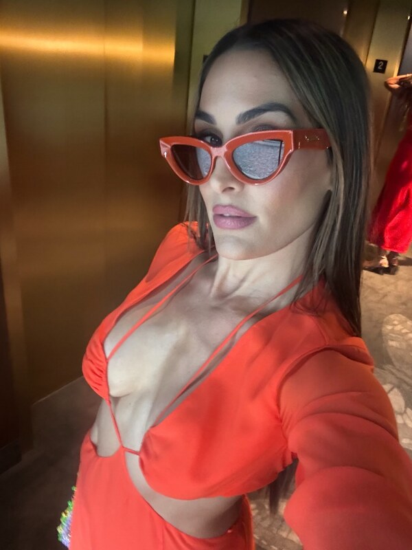 The Bella Twins: Nikki Bella & Brie Bella nude photo 8