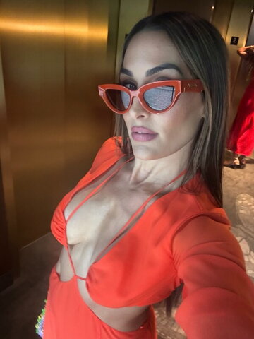 The Bella Twins: Nikki Bella & Brie Bella nude photo 16