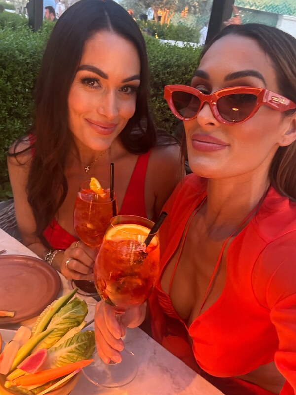 The Bella Twins: Nikki Bella & Brie Bella nude photo 9