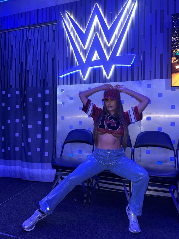 The Bella Twins: Nikki Bella & Brie Bella nude photo 4