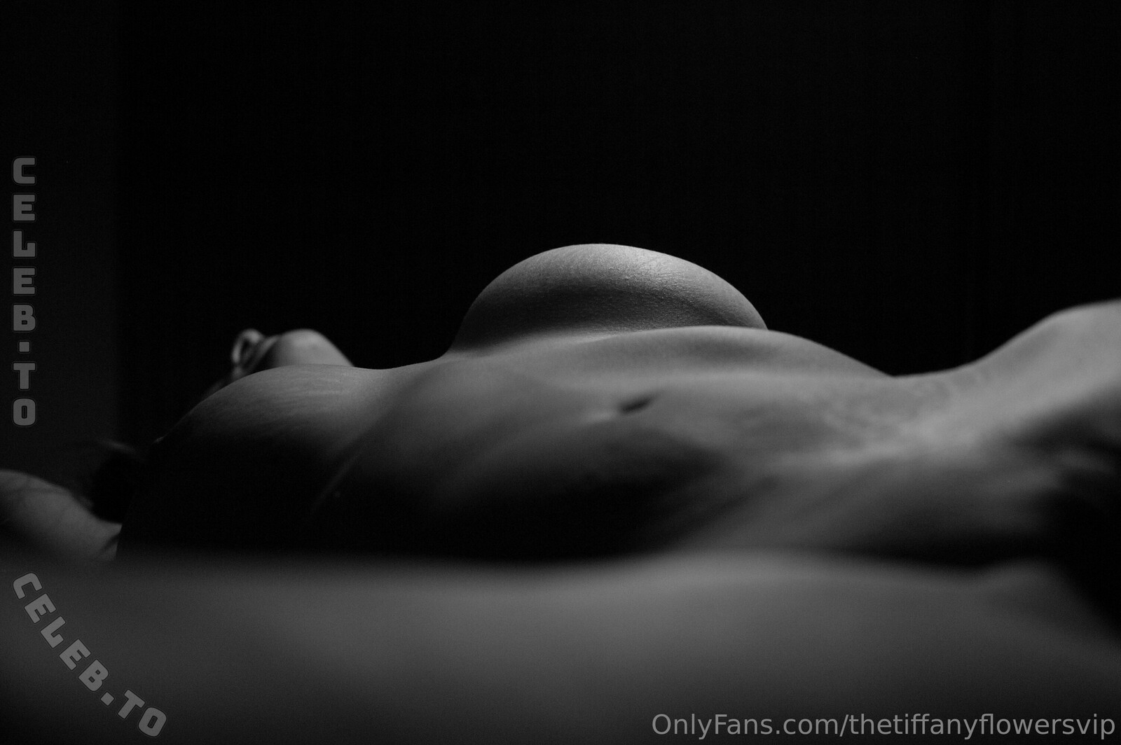 Tiffany Flowers nude photo 10