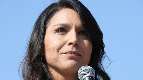 Tulsi Gabbard nude photo 8