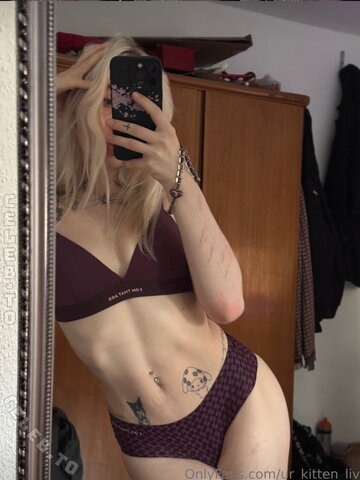 ur_favorite_kitten Fresh (1 photo)