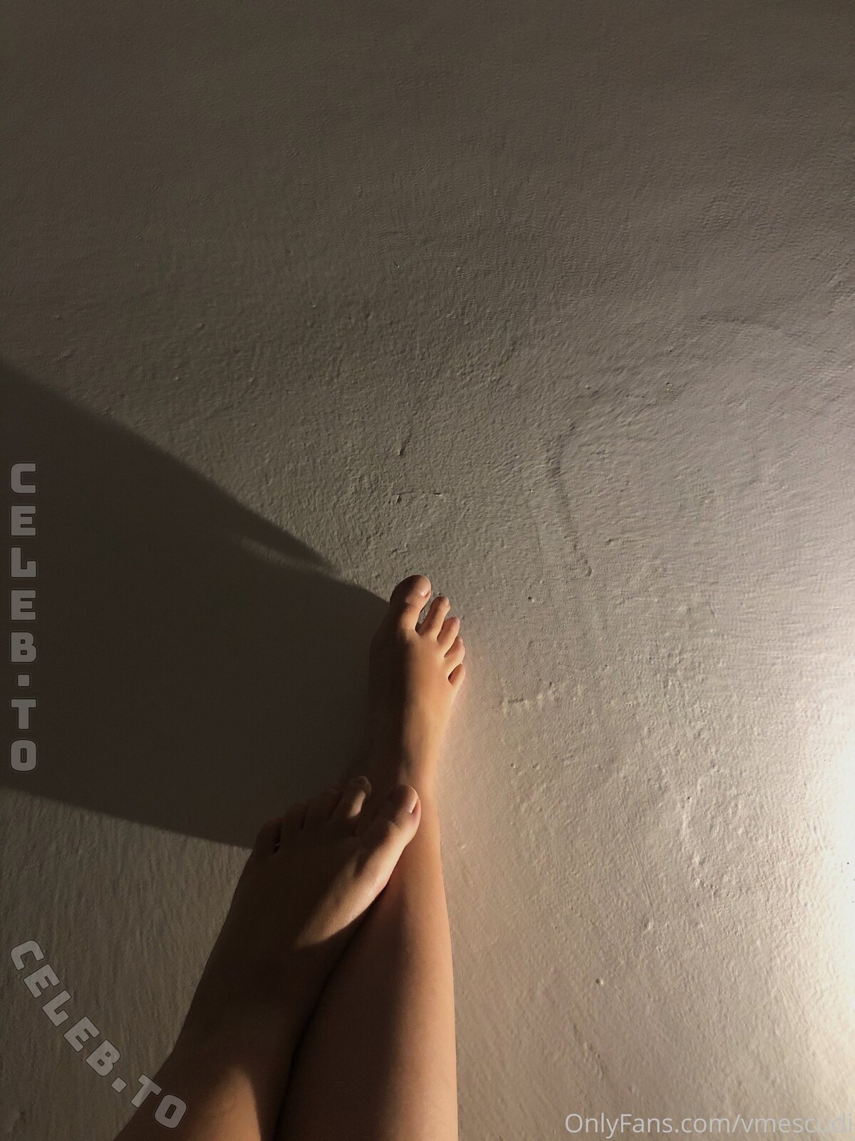 Veronika Mescudi nude photo 12
