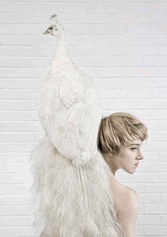 Vincent Littlehat nude photo 5