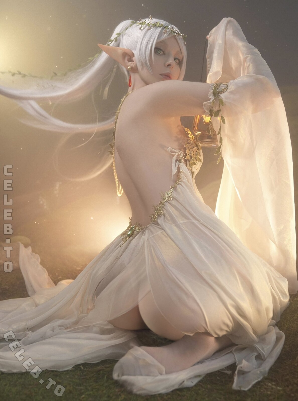 Vinnegal nude photo 1