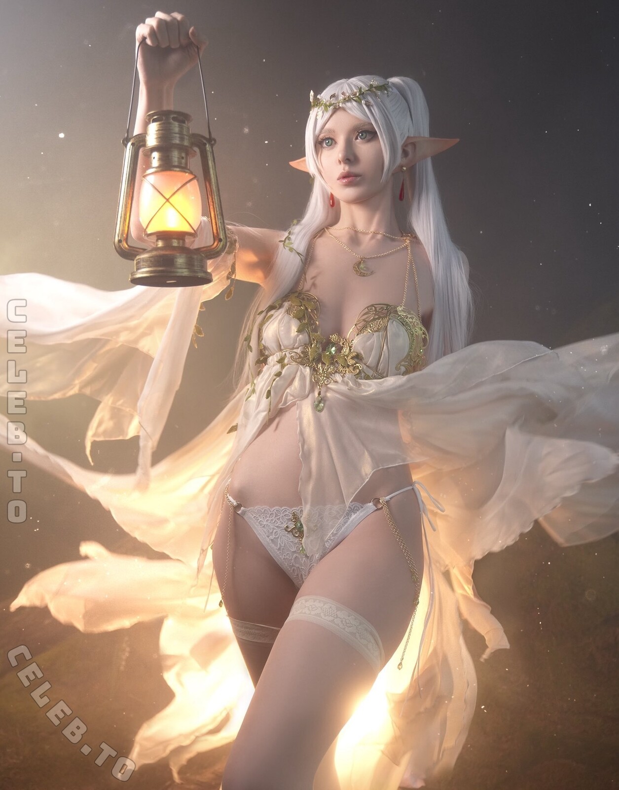 Vinnegal nude photo 2